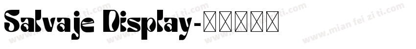 Salvaje Display字体转换